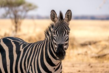 wallpaperflare.com_wallpaper (10)